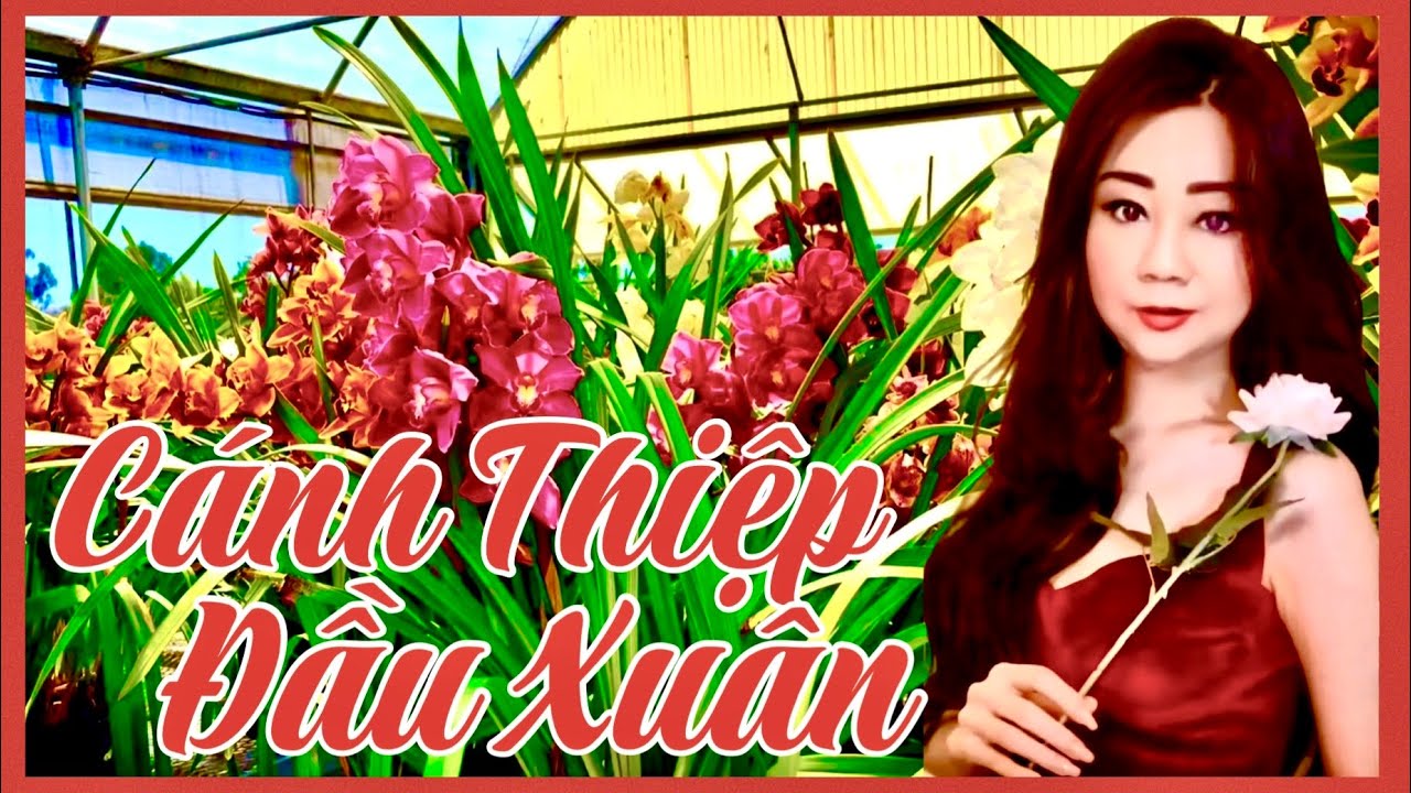 ❤️ CÁNH THIỆP ĐẦU XUÂN - ST: LÊ DINH & MINH KỲ - Bà 8 Cali Hát - 
