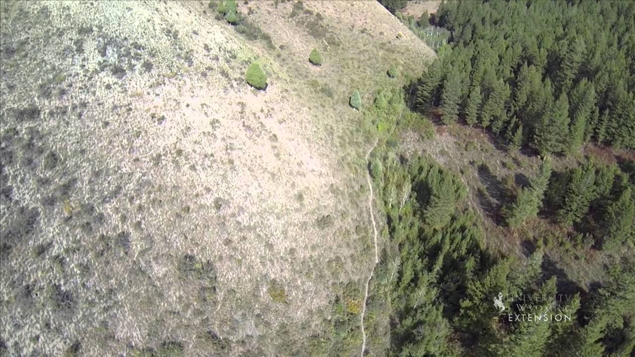 The Importance of Slope Aspect