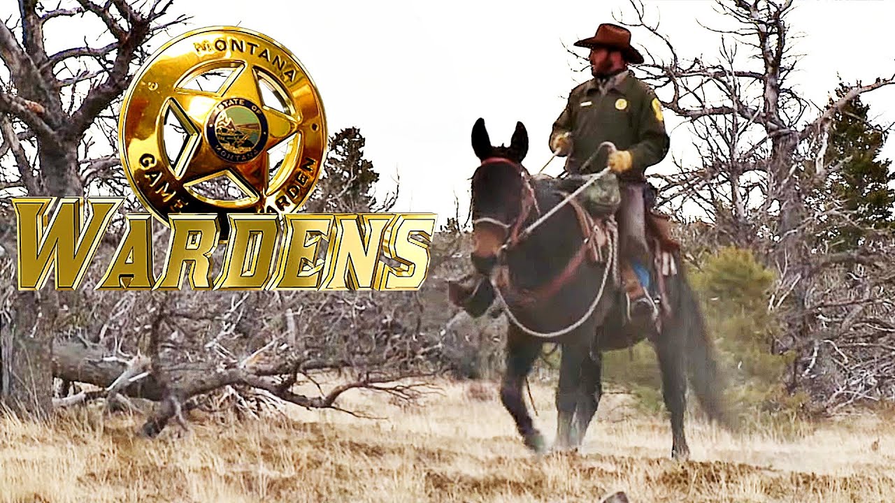 Wardens | Episode 2: Operation Antler Blitz  | FD Real Show