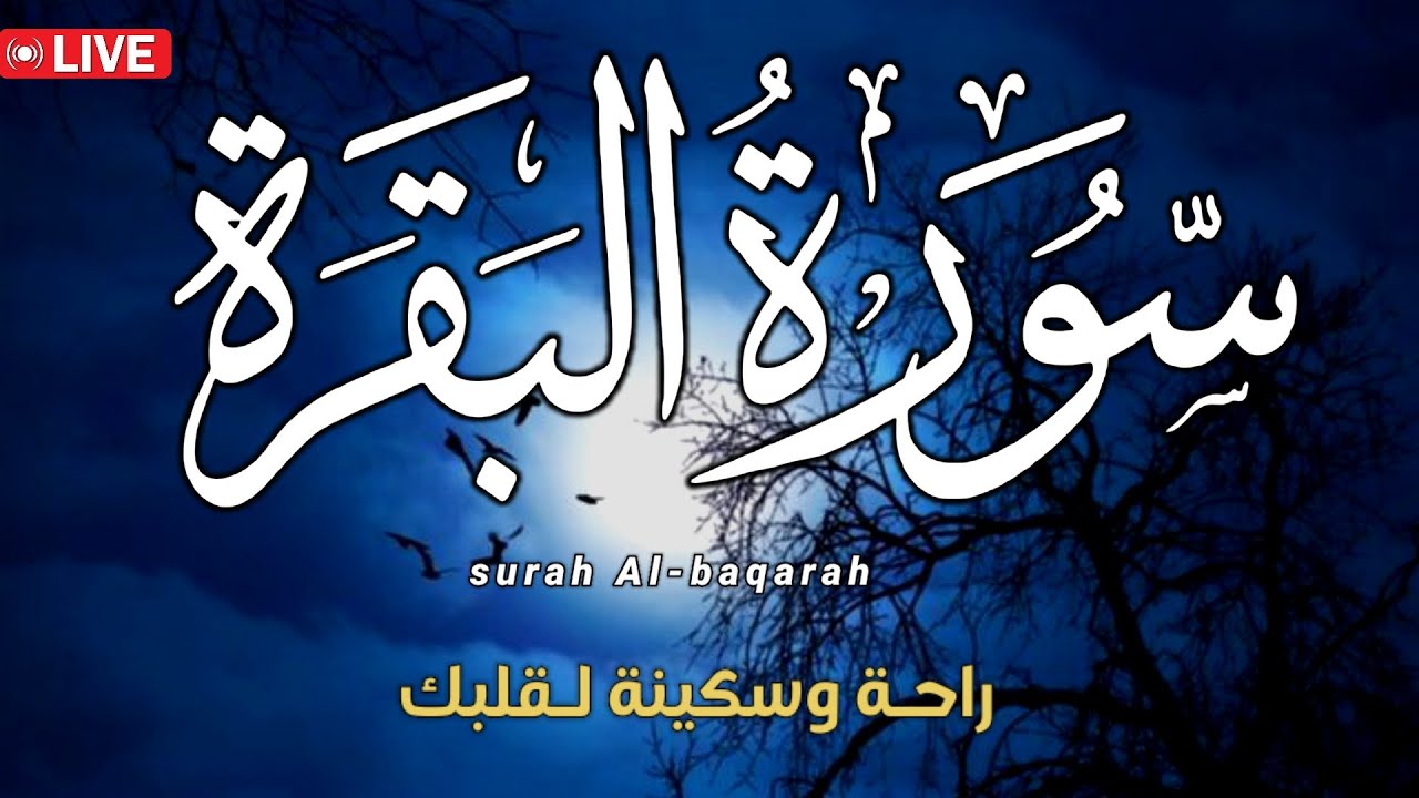 سورة البقرة/ لتحصين المنزل وفك السحر/تلاوة تريح النفس وتشرح الصدر🌹Surah Al Baqarah