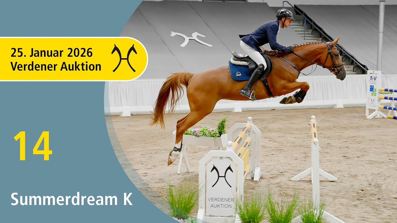 14 Summerdream K by Stakkato - Acord II | Verden Auction Online - Sporthorses & Youngster - Jan., 25