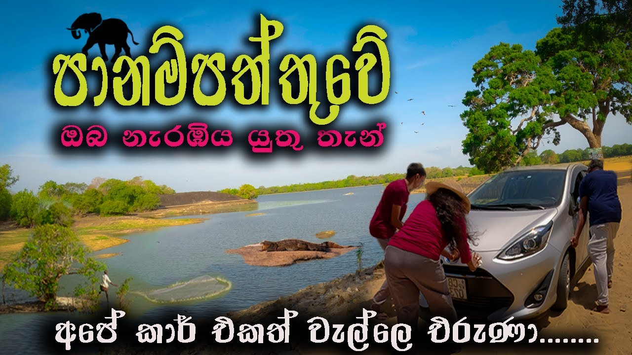 Discover the Best Places to visit in Arugam Bay | Panama Sri Lanka