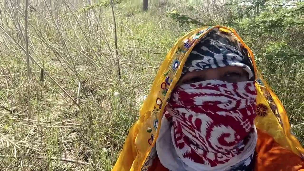 आज मैने किया मेरे खेत में बहुत सारा काम #गांव की लाइफ ,filma Meena vlogs 😱😱😱👈
