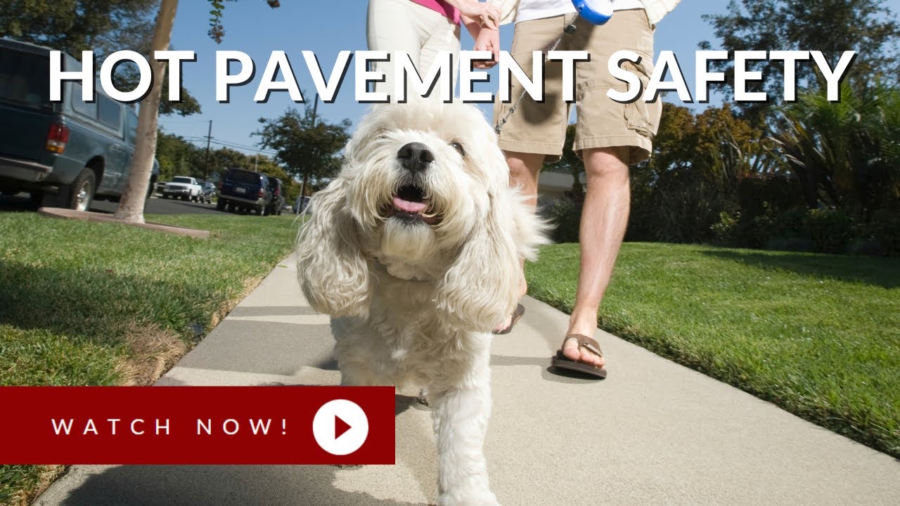 Hot Pavement Safety