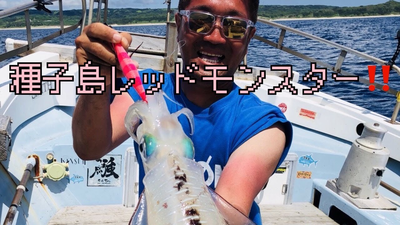 【ティップラン】種子島レッドモンスター〜前編〜squid