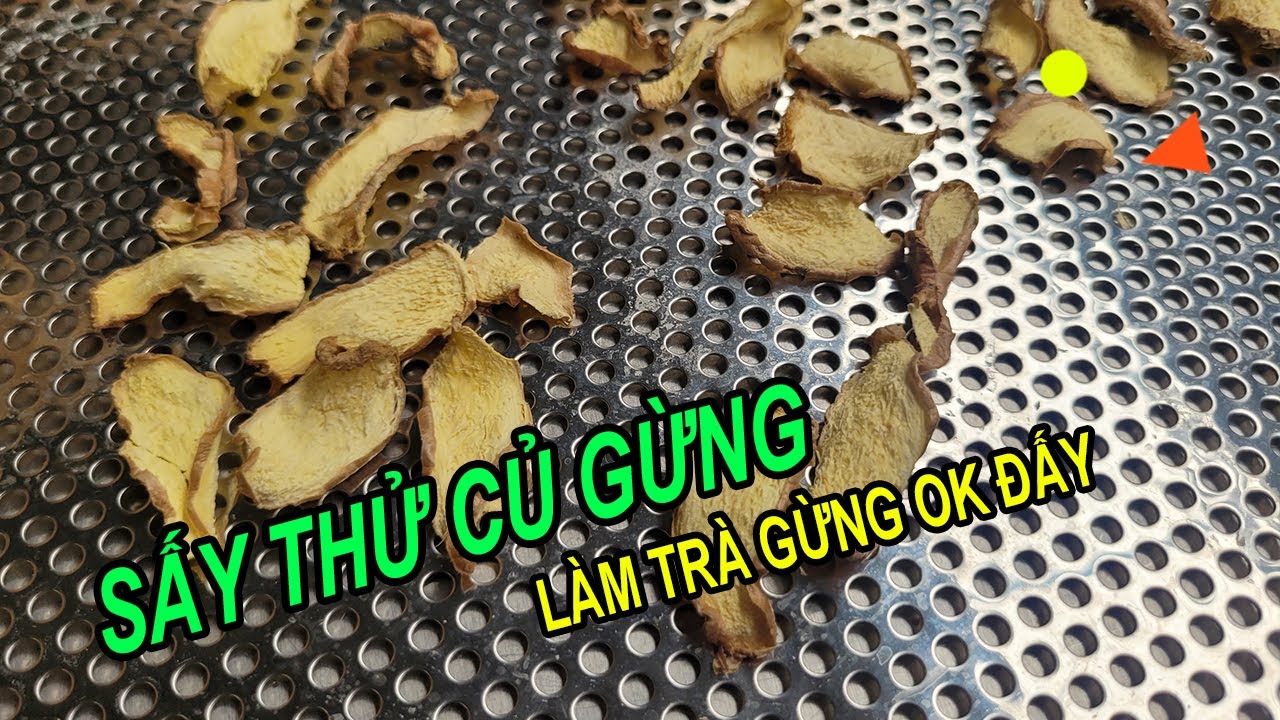 Sấy thử củ gừng, sấy làm trà cũng ok đấy