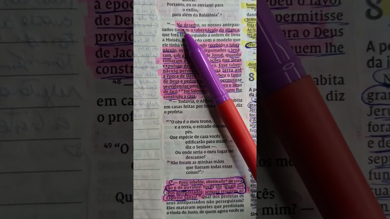 Atos 7. Lendo a bíblia em um ano.  2026. Atos dos apóstolos. 