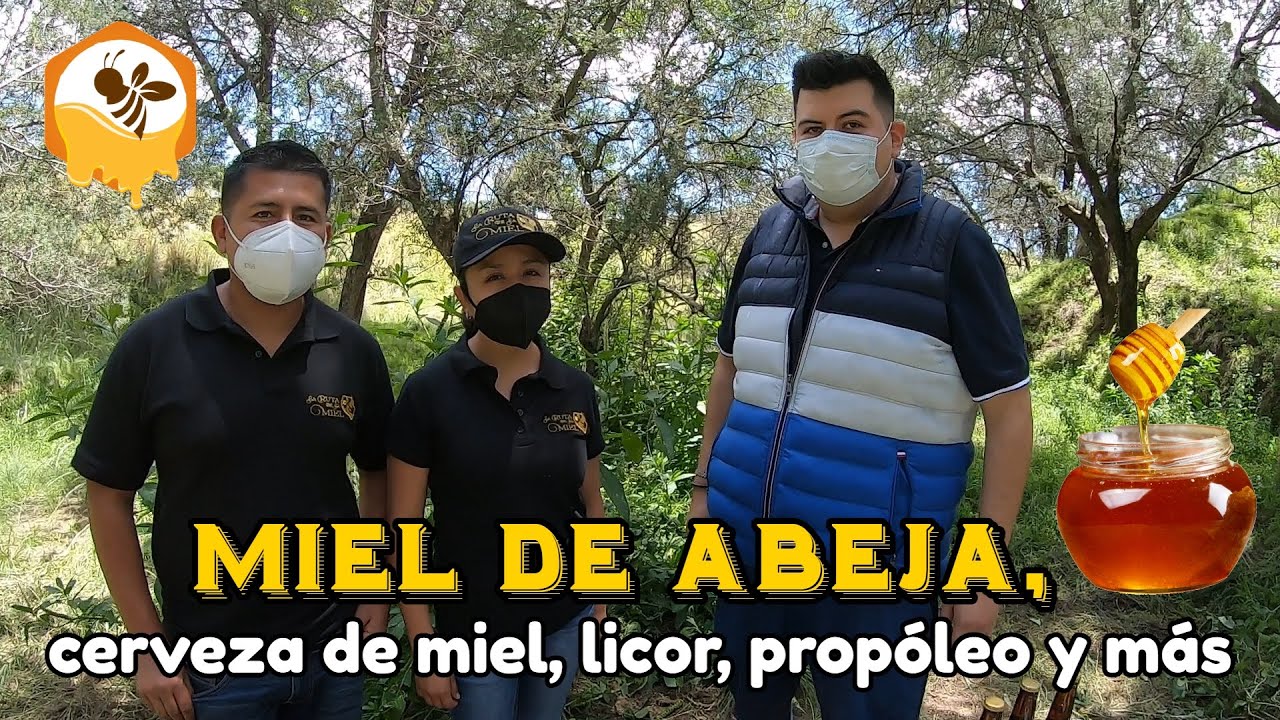 🐝 ¿Dónde comprar MIEL PURA DE ABEJA? 🐝
