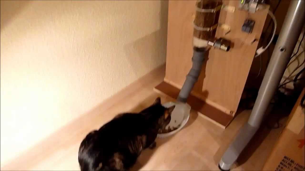 Internet Enabled Cat Feeder powered by Arduino