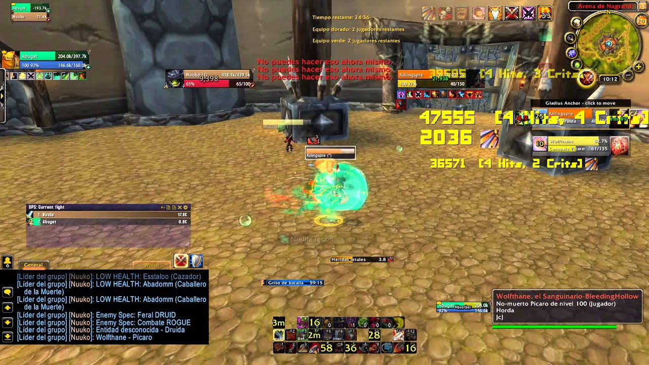 nuuko warrior furia & monje healer 3