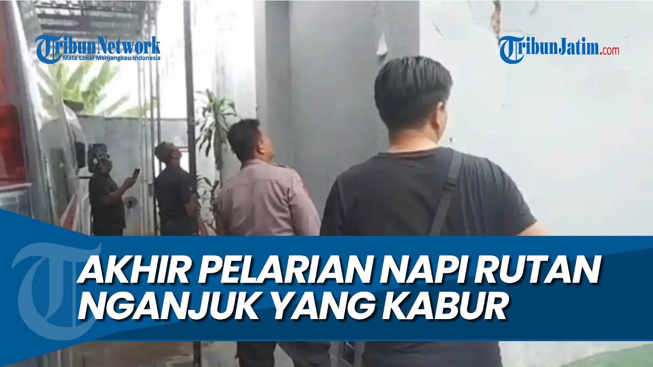 DITANGKAP DI TUMPUKAN JERAMI, Akhir Pelarian Napi Rutan Nganjuk yang Kabur