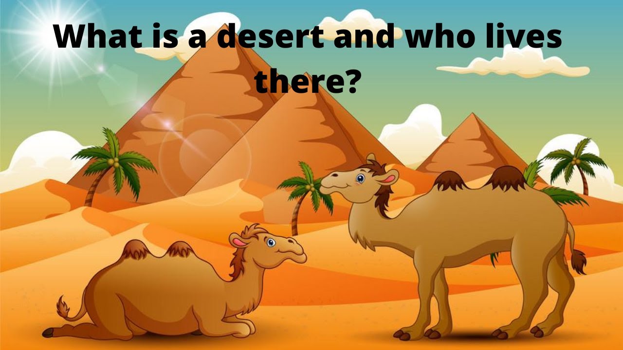 What are deserts? Who lives on deserts| Deserts for kids| Desert biome