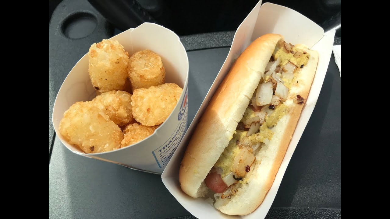 Sonic Drive-In: New York Dog & Tots Review
