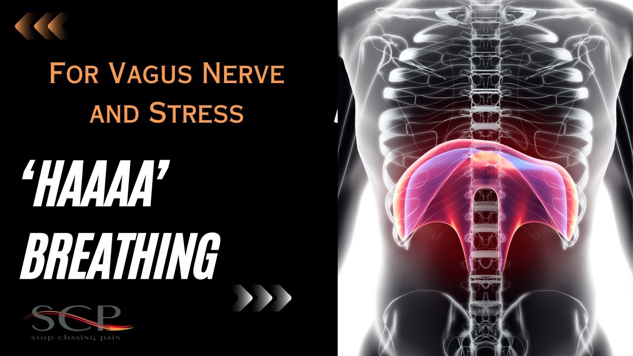 Haaaa Breathing For Vagus Nerve And Stress