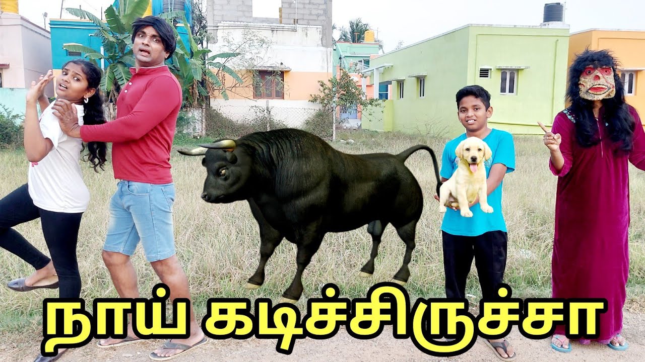 நாய் கடிச்சிருச்சா | comedy video | funny video | Prabhu Sarala lifestyle