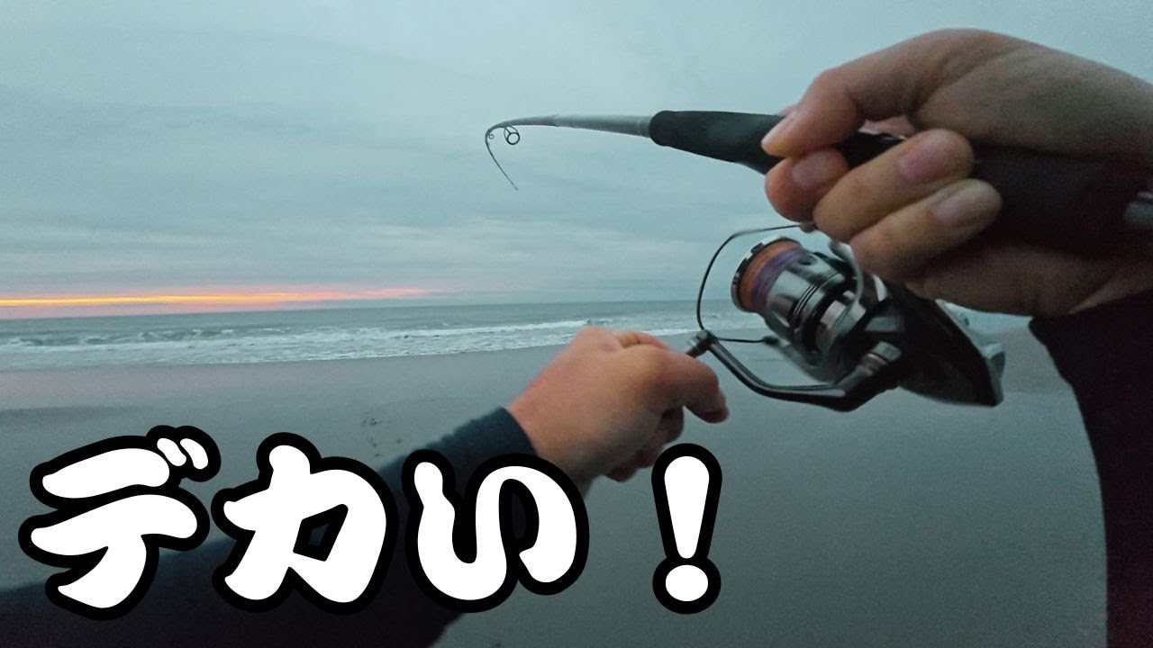【サーフ】とある日のショアジギ釣行＆遠州灘サーフで五目釣りを達成した日