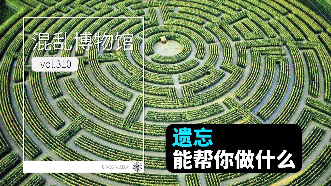 遺忘能幫你做什麼丨混亂博物館