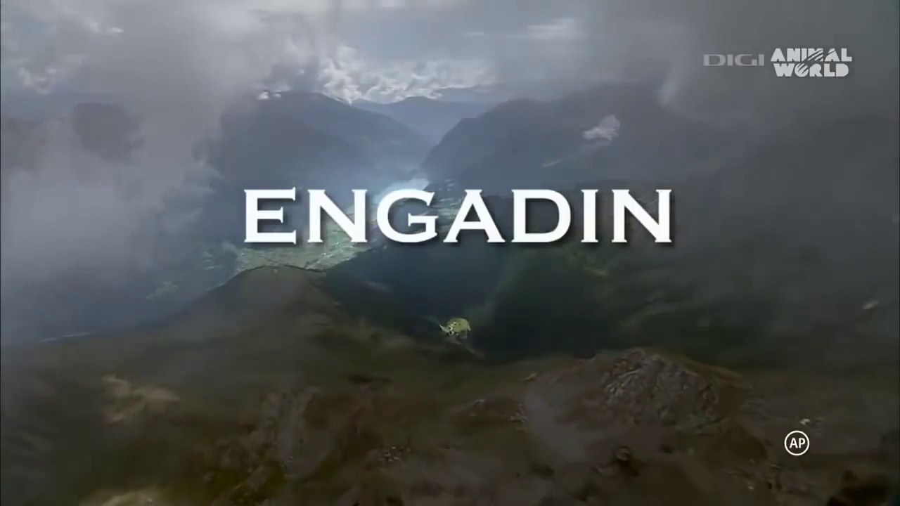 A sv&aacute;jci vadon - 100 &eacute;ve &eacute;rintetlen&uuml;l