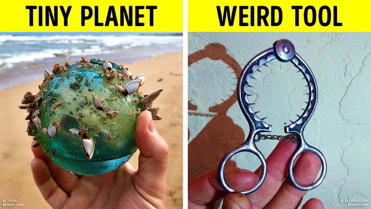 These People Just Couldn't Resist Sharing Their Insane Finds
