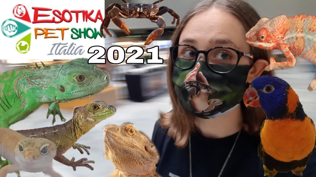 Esotika pet show Arezzo 2021. Fiera di animali da compagnia! (era pieno di rettili!)