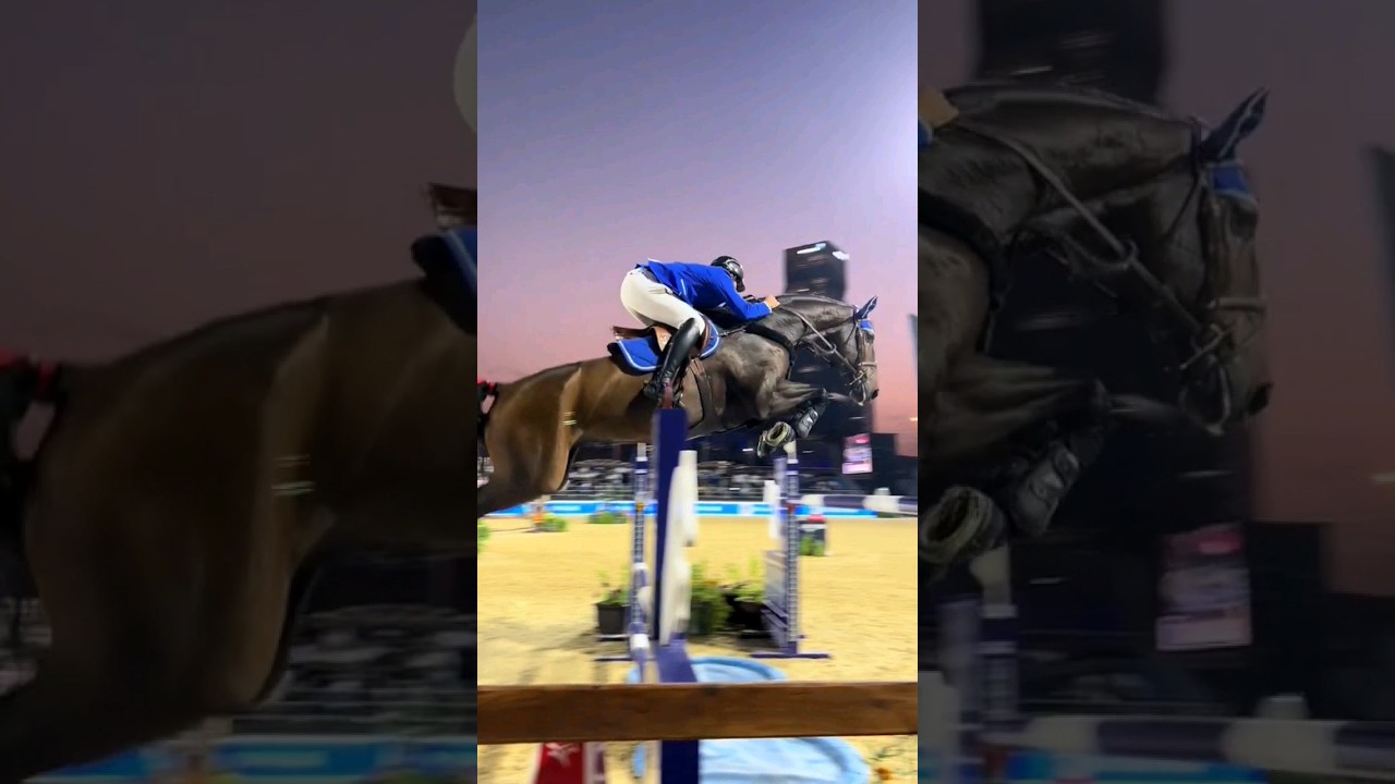 Beautiful background for a beautiful horse 😍 #horse #equestrian #edit #horsejumping #viral #sub