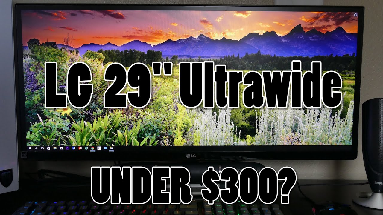 The Affordable LG 29