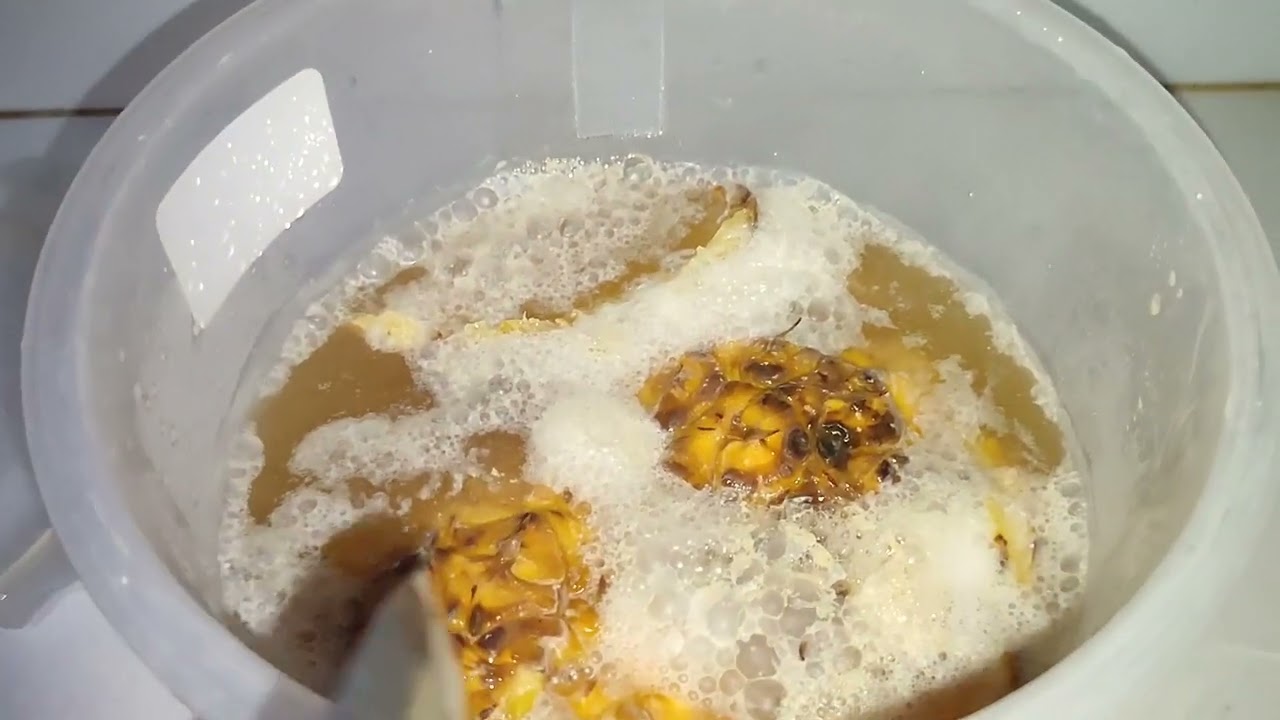 cómo se preparar guarapo o Chicha de piña♥️🙏