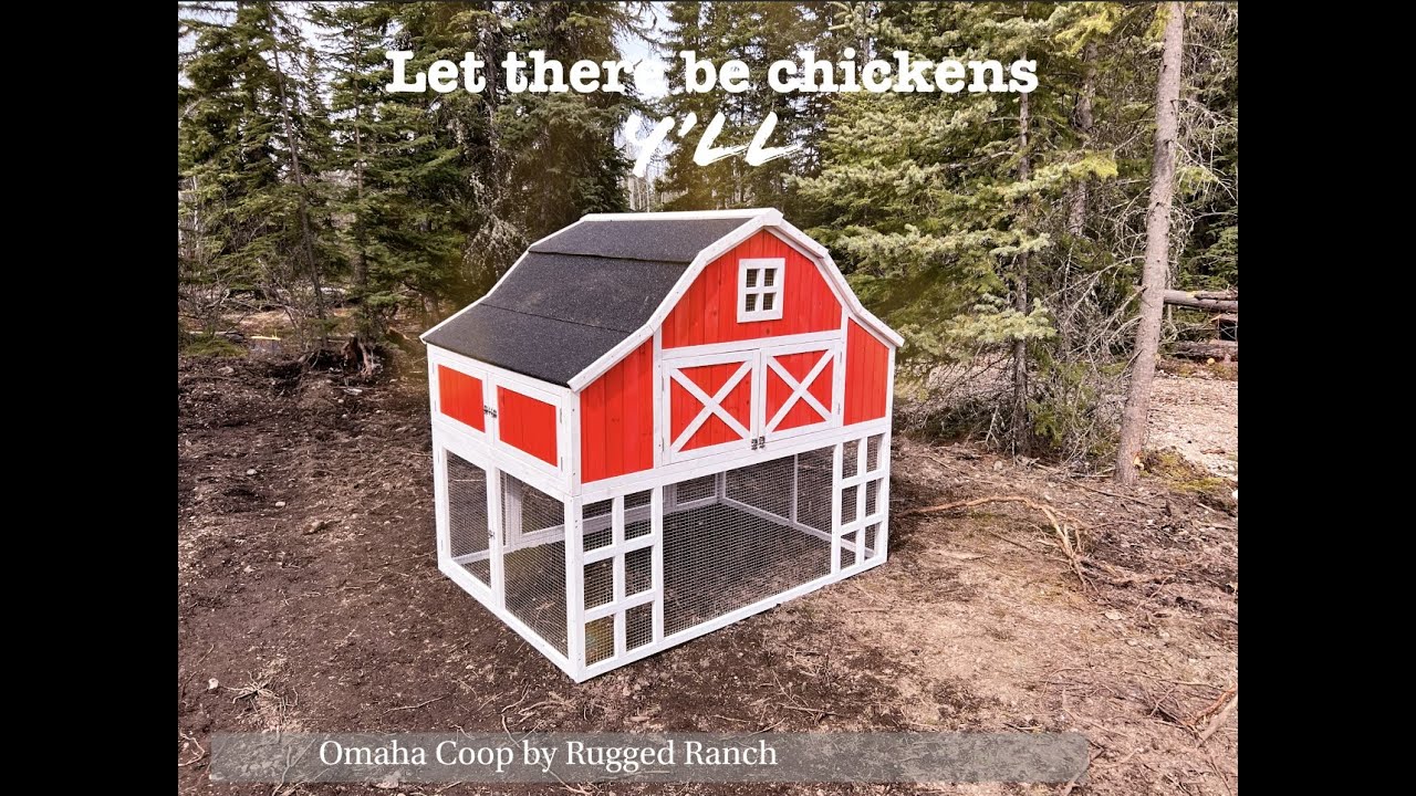 Assembling the Rugged Ranch Omaha Chicken Coop 4K