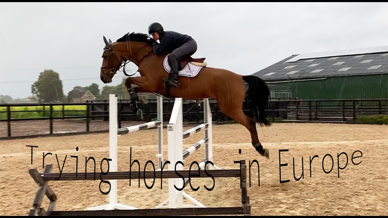 Trying horses in Europe