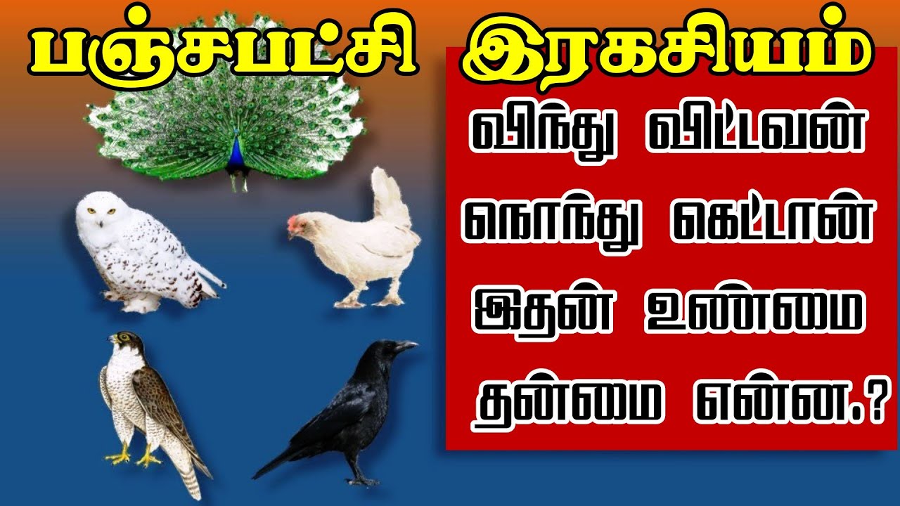 பஞ்சபட்சி ரகசியங்கள் | விந்து விட்டவன் நொந்து கேட்டான் |