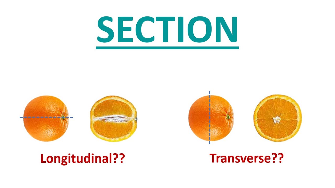 2.4 Section