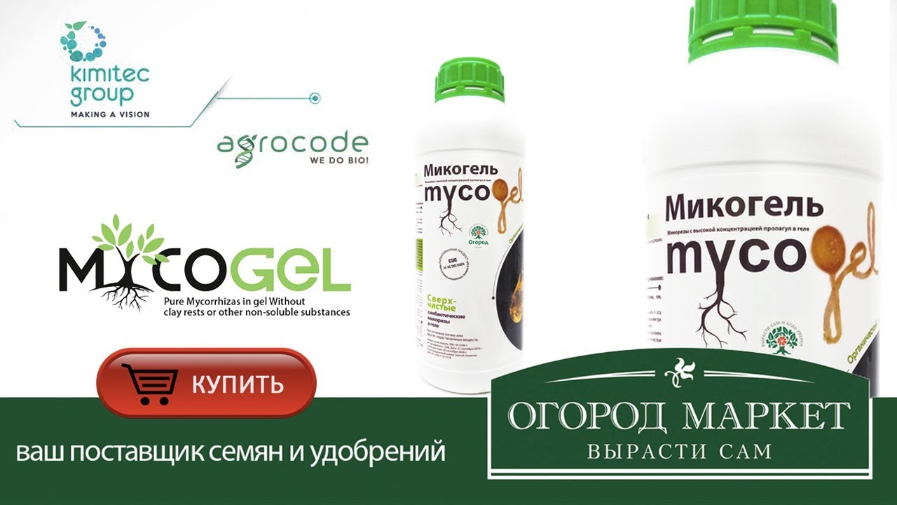Микориза в России ( Купить Микогель  с доставкой по РФ от производителя  KImitek Group )