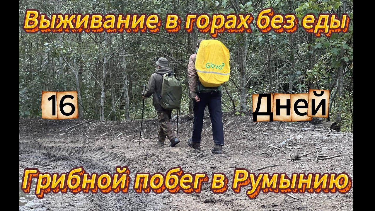 Выживание в горах без еды Грибной побег в Румынию