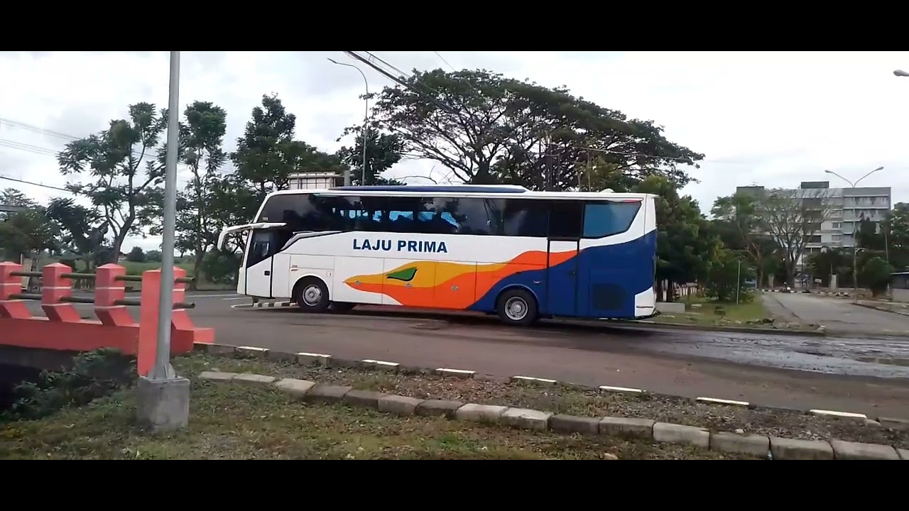 HUNTING BUS HARI MINGGU ( LIGA MALAM SENIN ) DI TERMINAL KERTONEGORO NGAWIRAME FULL BUS PENUMPANG 