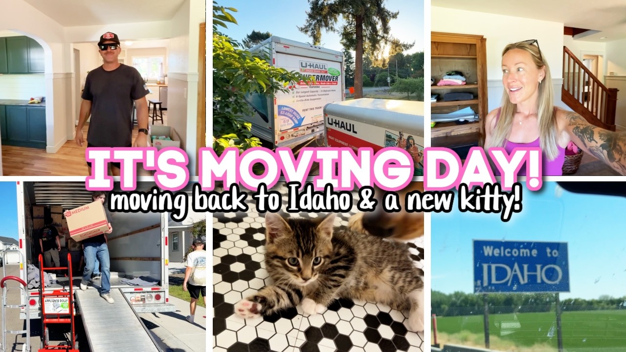 IT'S MOVING DAY // moving back to idaho and we got a new kitty