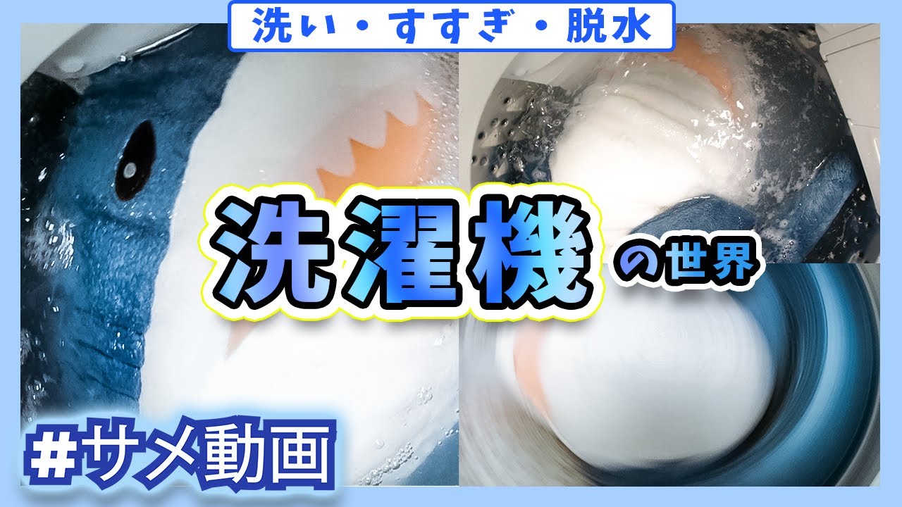 【IKEAのサメ動画】サメの入浴を覗いてみた／知られざる洗濯機の中の世界