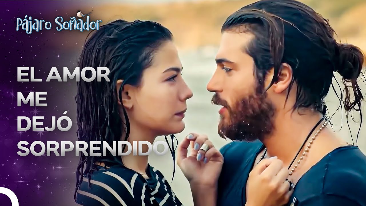 ¿Eres Real O Una Ilusión? - Pájaro Soñador