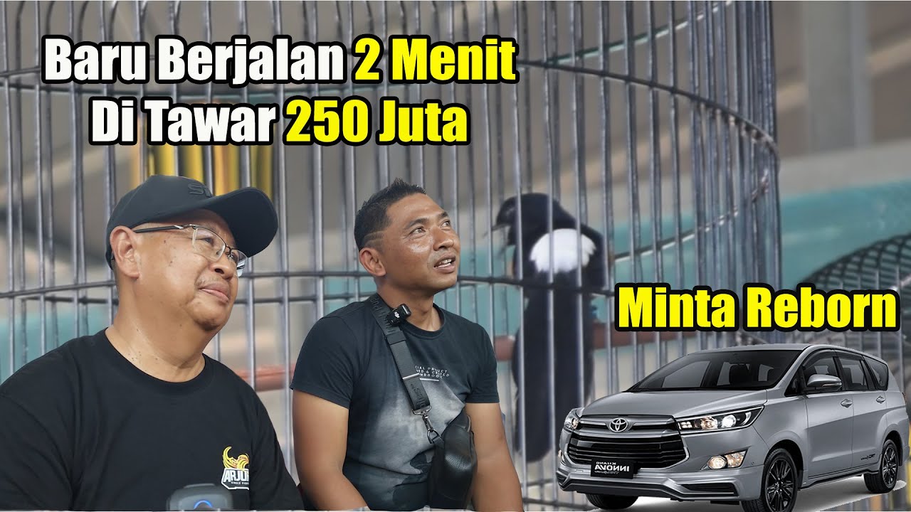 YANG LAGI VIRAL ‼️ PENJURIAN BELUM SELESAI ANDRI BOLANG LANGSUNG GERCEP