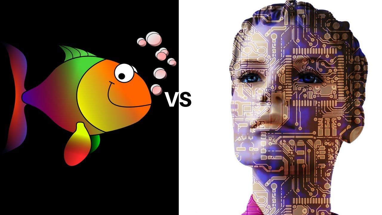An outrageous Anti Smith Morra Gambit Concept || Stockfish 11 vs Slowly Evolving Leela ID 62076