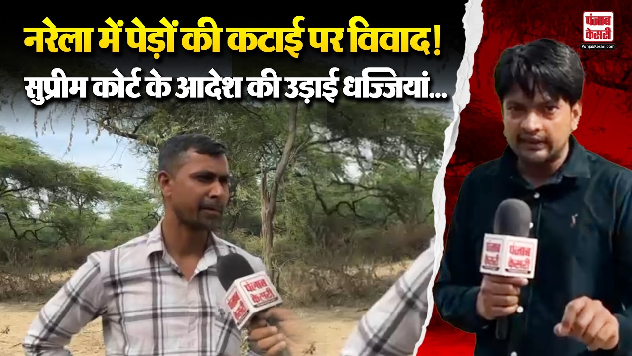 Delhi News: छंटाई के बहाने नरेला में पेड़ों की कटाई, सुप्रीम कोर्ट के आदेश की उड़ाई धज्जियां?