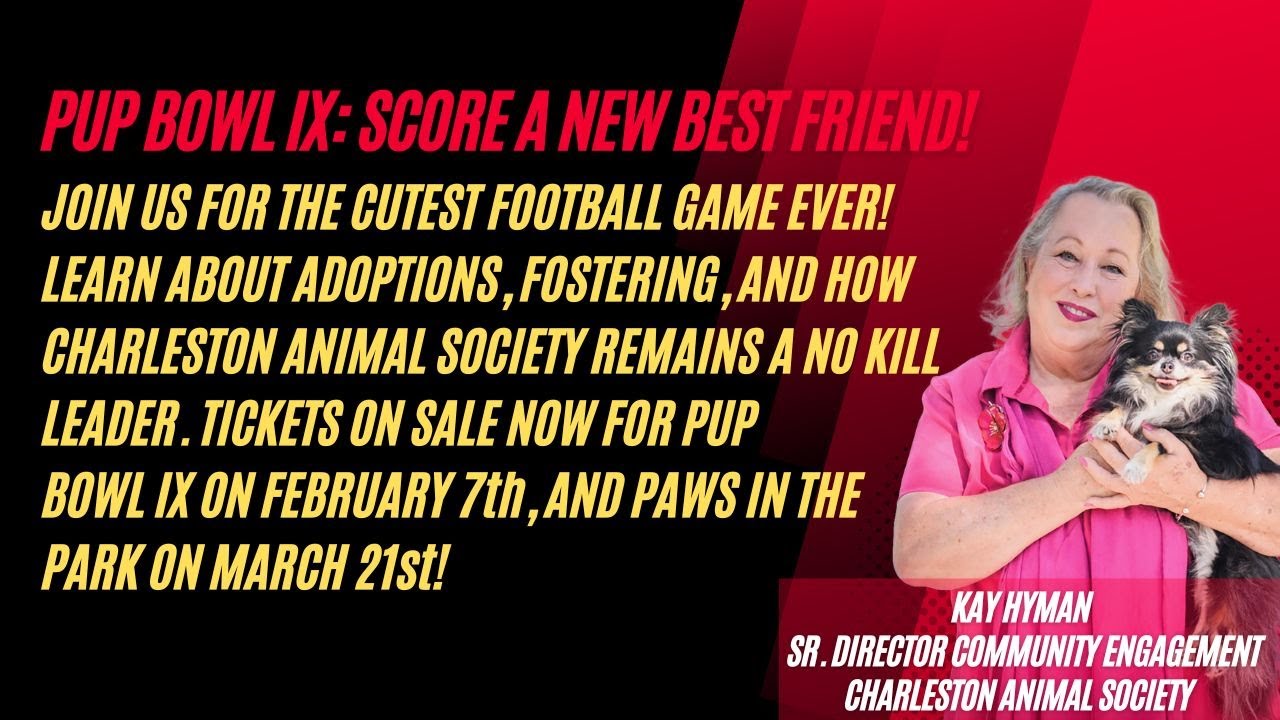 Pup Bowl IX: Adoptions & No Kill Success with Charleston Animal Society