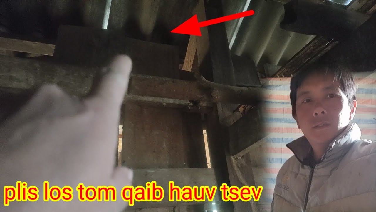 Xov xwm plis los tom qaib hauv tsev tsaus ntshai heev