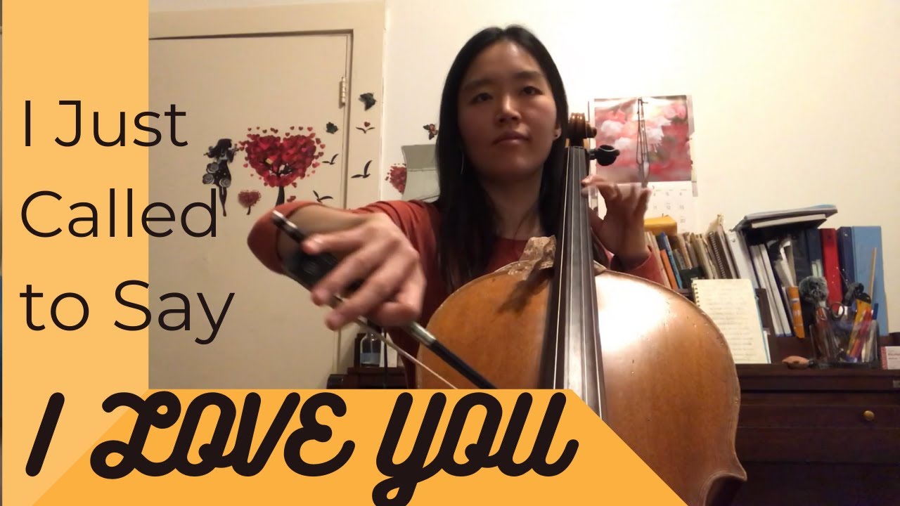 I Just Called to Say I Love You - Stevie Wonder (cello)