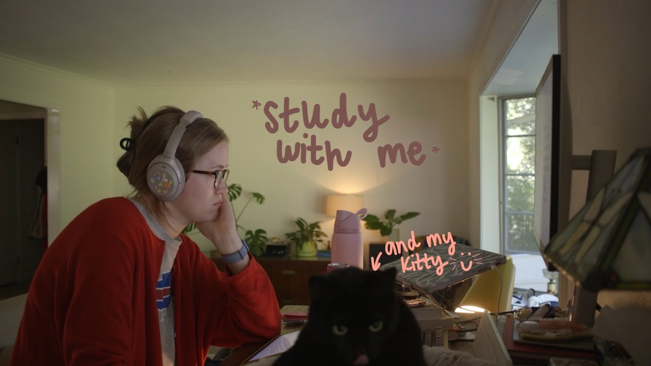 three hour study (medicine) with me 50/10 pomodoro (no music)