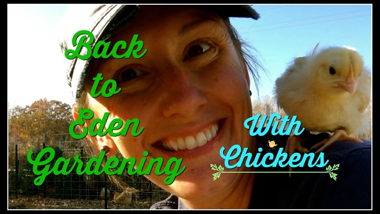 Back to Eden Gardening with Chickens~