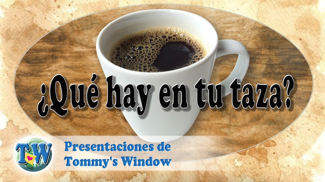 ¿Qué hay en tu taza? - Tommy's Window Español
