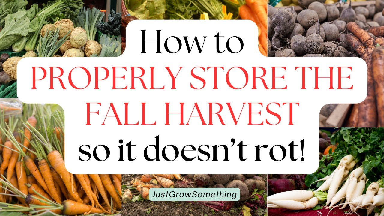 How to Properly Store Your Fall Garden Harvest - Ep. 275