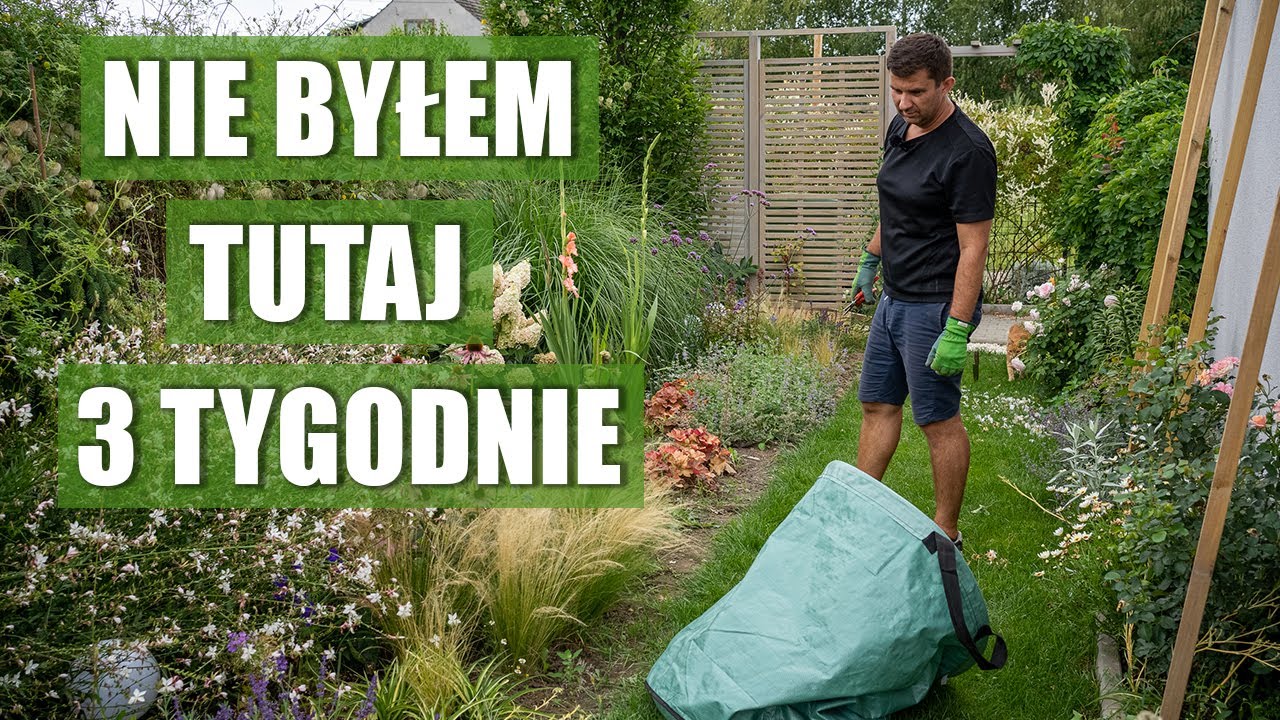Sprzątam zarośnięty ogród po 3 tygodniach. Pielenie i ogławianie
