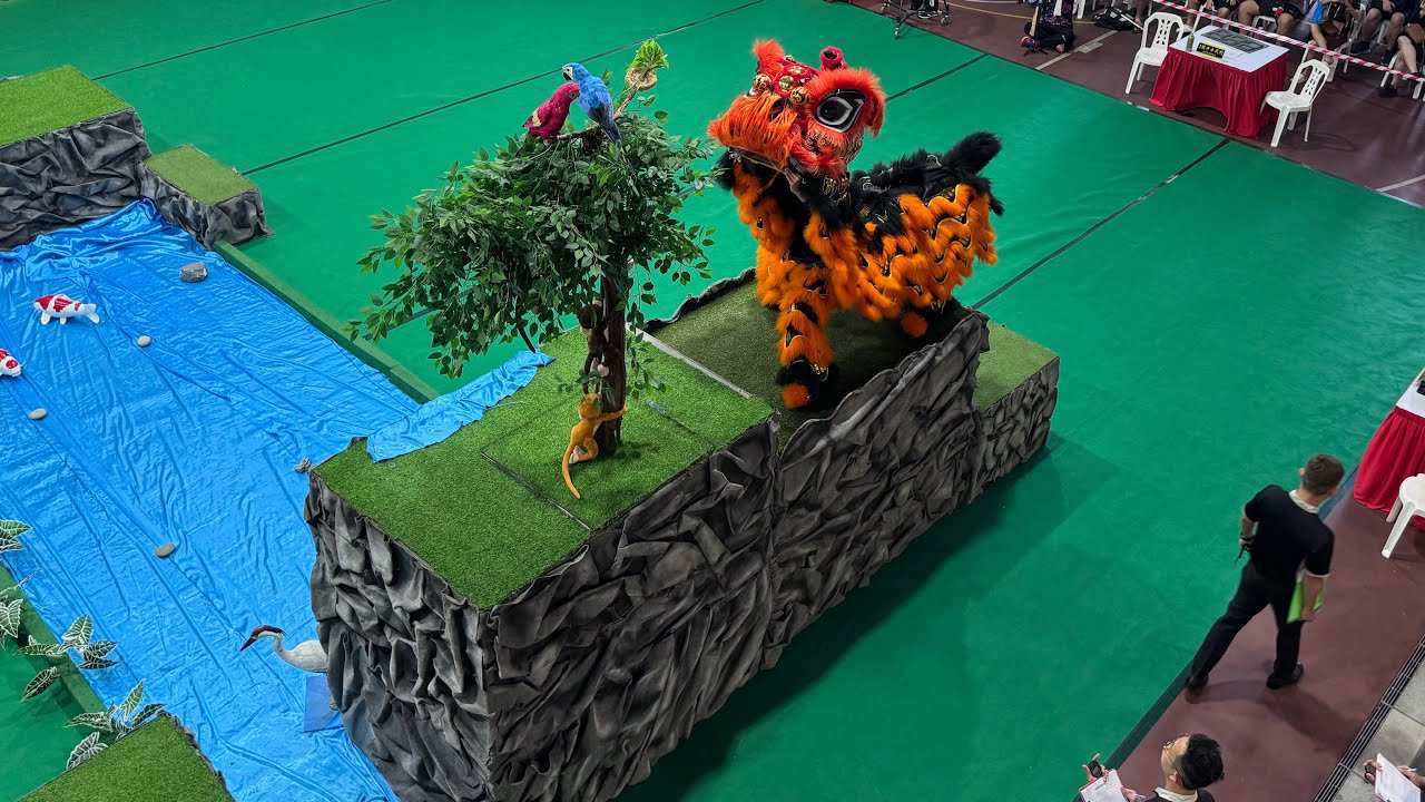 [4K] 1st Traditional South Lion Promotion Competition - Feng Yi Association Group A 22.02.2025
