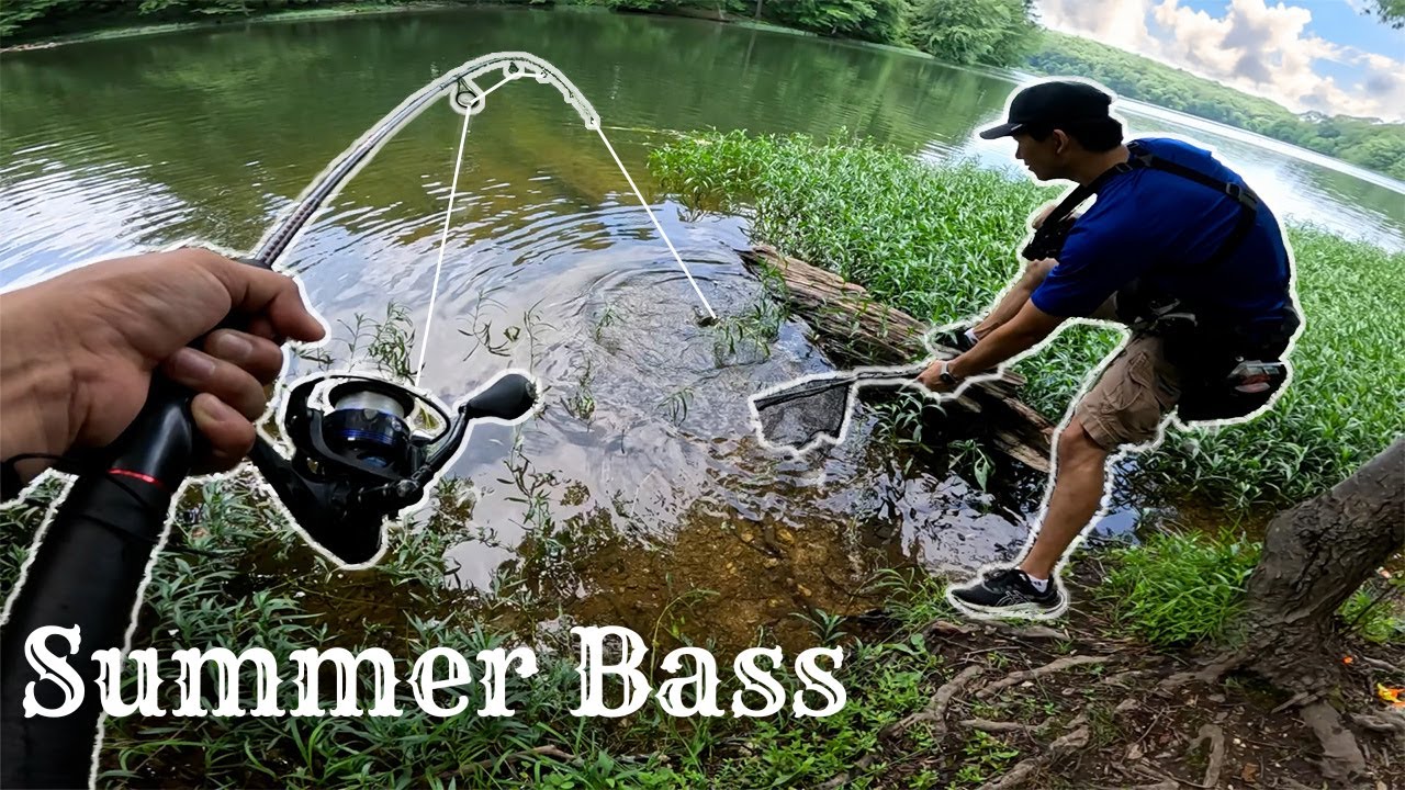 This Finesse Tactic Catches Bass All Summer Long!